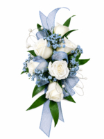 bloue rose carnation making dream