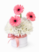 Mini Dream Flower Box