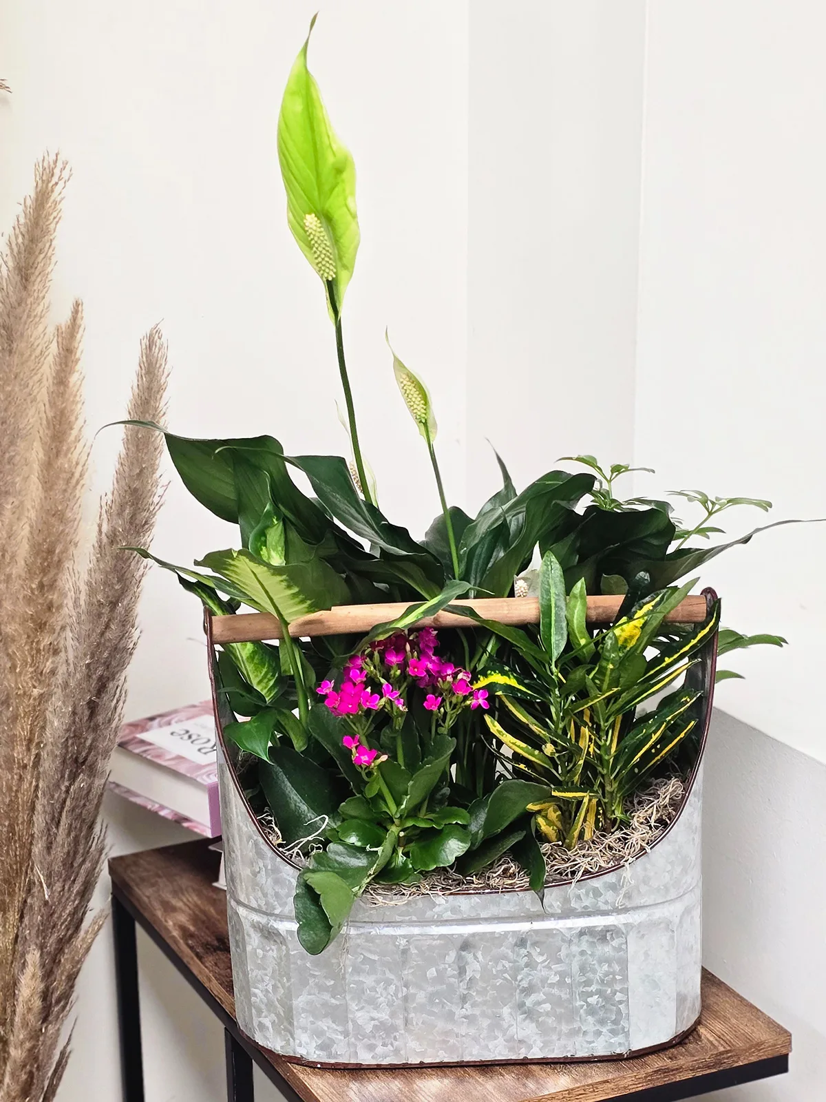 Peaceful Blooms Plant