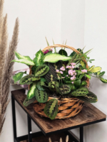 Sunset Bloom Plant Basket