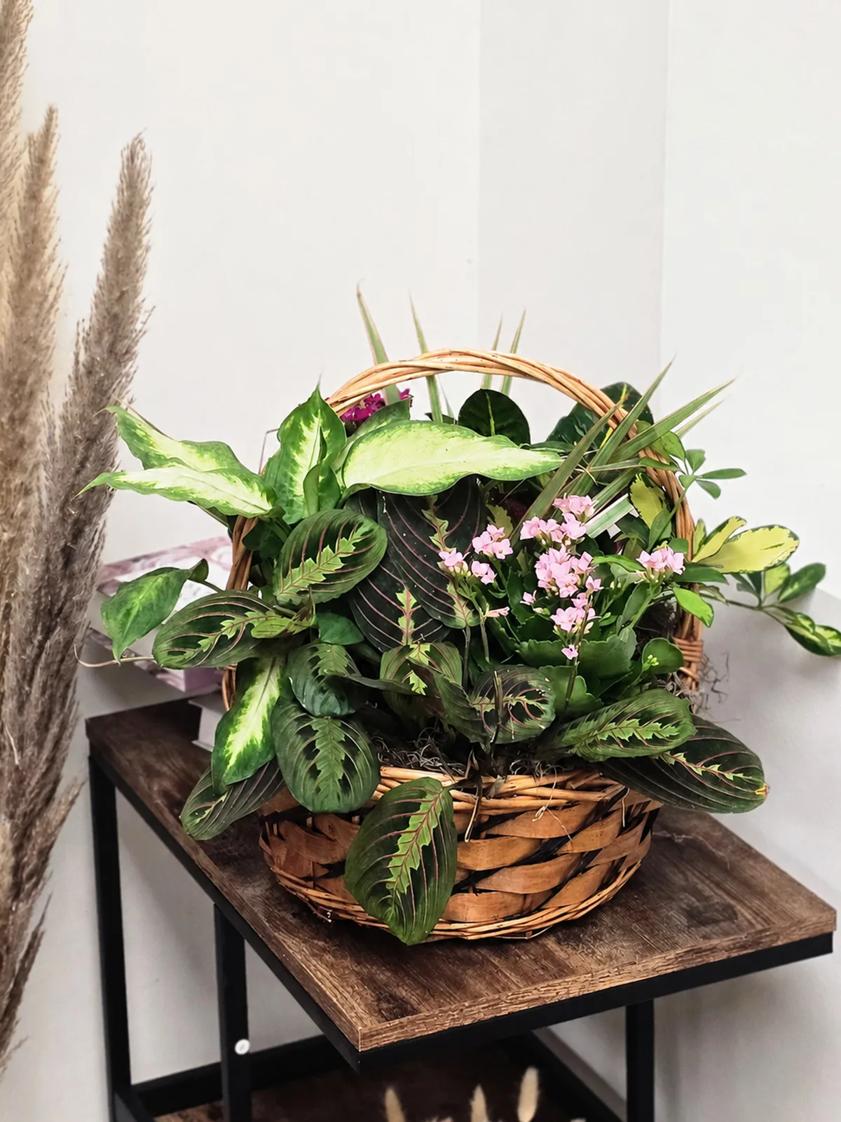 Sunset Bloom Plant Basket