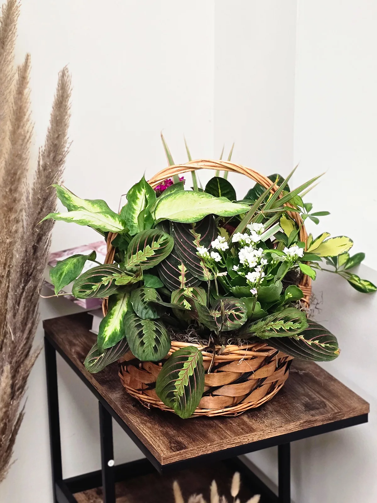 Sunset Bloom Plant Basket