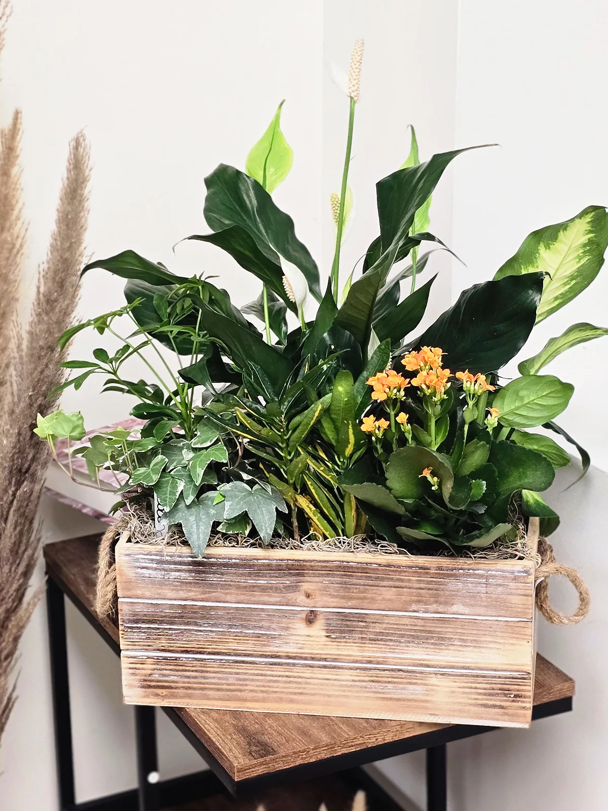 Woodland Grace Plant Garden