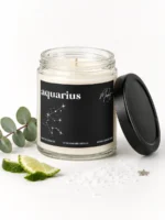 aquarious dream soy candle