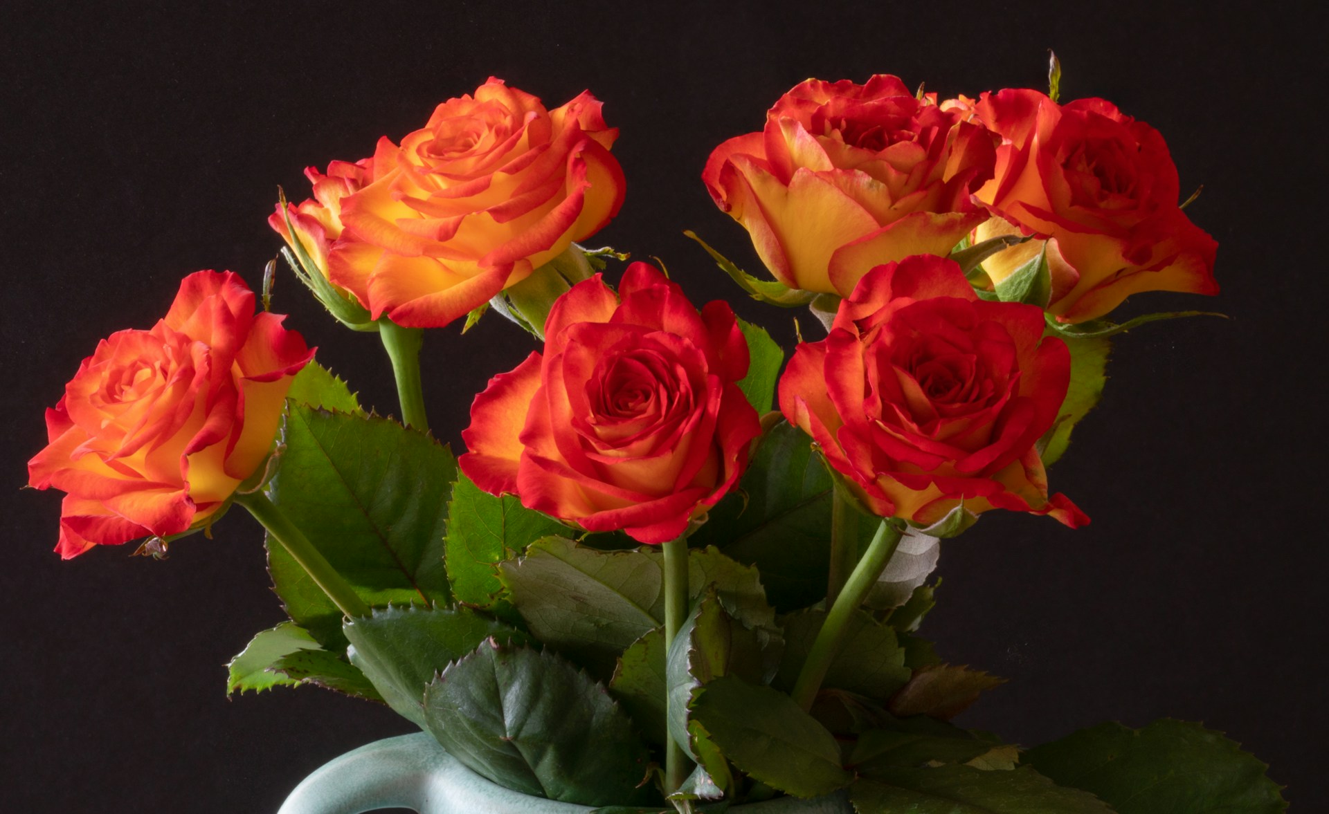 How to Care for a Rose Bouquet to Keep It Fresh?