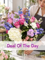 Deal of the day